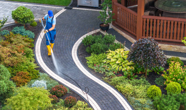 Best House Pressure Washing  in Mill Neck, NY